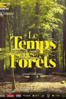 The Time of Forests Free Download