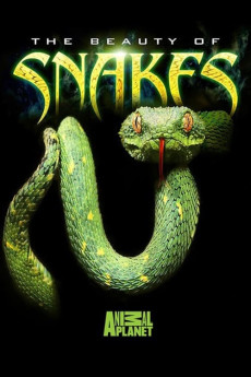 Beauty of Snakes Free Download