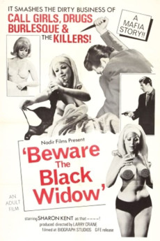 Beware the Black Widow Free Download