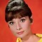 Audrey Hepburn Picture