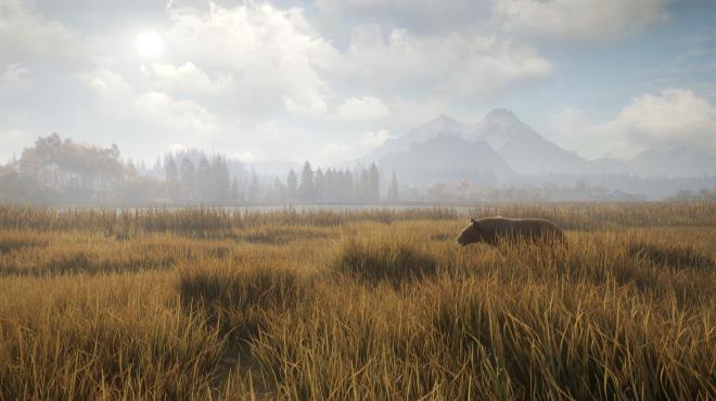 theHunter Call of the Wild Update v2703646 incl DLC PC Crack