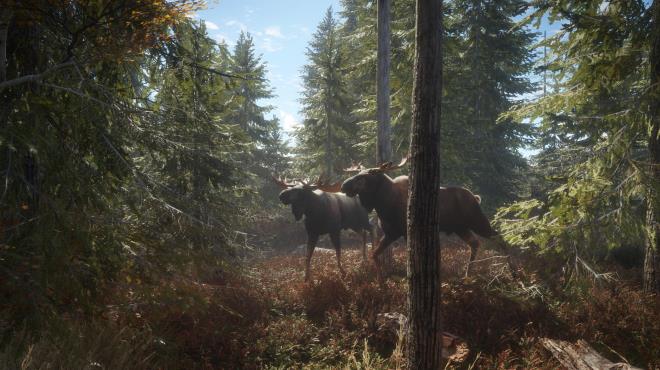 theHunter Call of the Wild Update v2703646 incl DLC Torrent Download